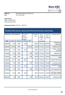 Download Botswana Bank ABC bank statement excel Photoshop template